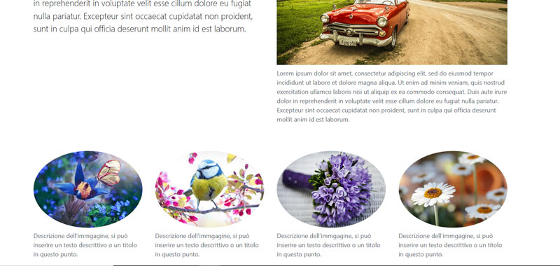 Bootstrap images